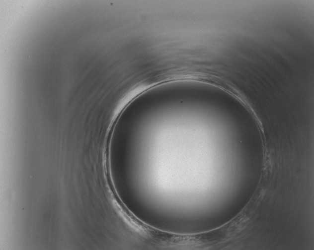 X0000077380811200610271944