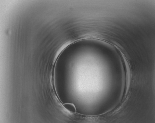 X0000077380812200610271944