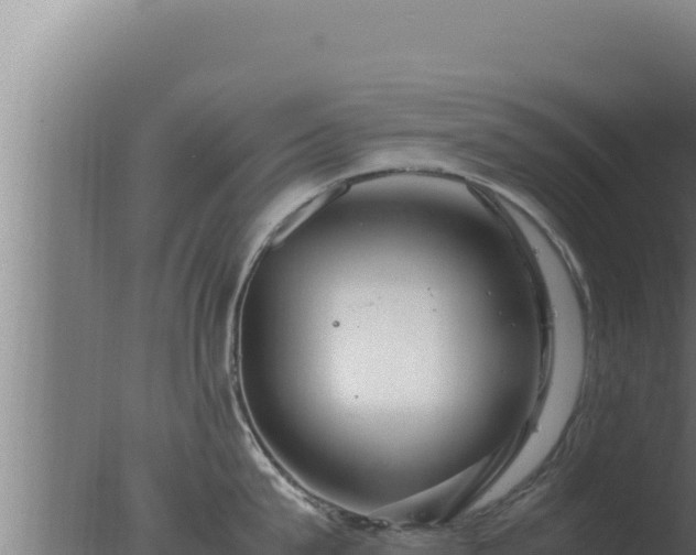 X0000077380815200610271944