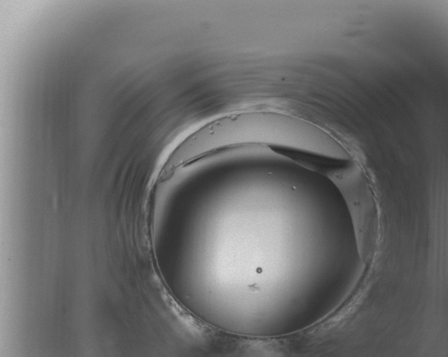 X0000077380816200610271944