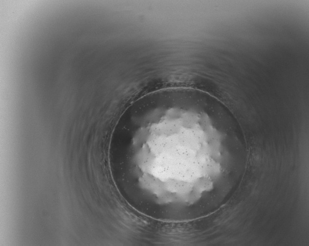 X0000077380817200610271943