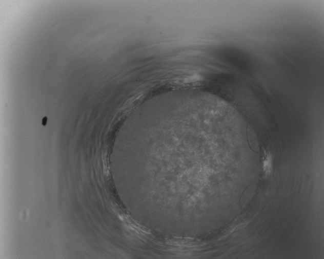 X0000077380819200610271943