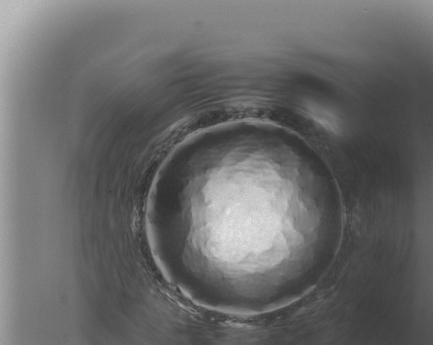 X0000077380821200610271943