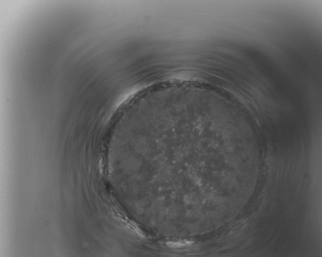 X0000077380823200610271943