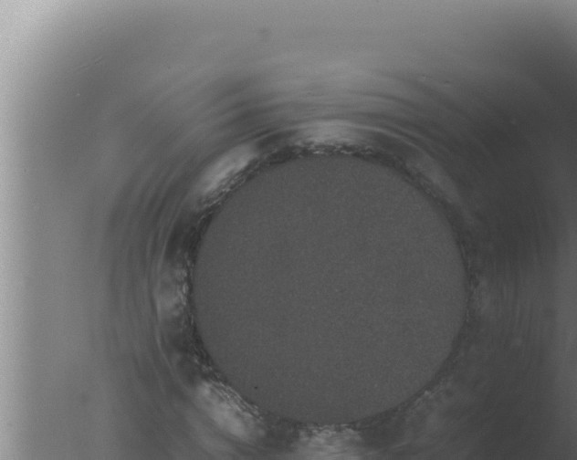 X0000077380824200610271944