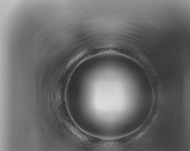 X0000077380826200610271944