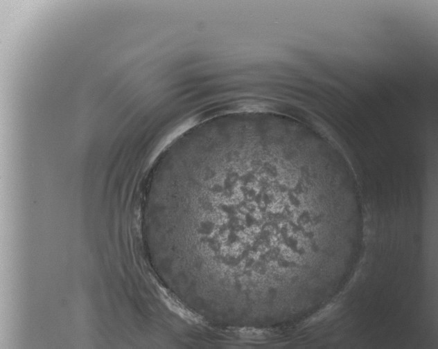 X0000077380827200610271944