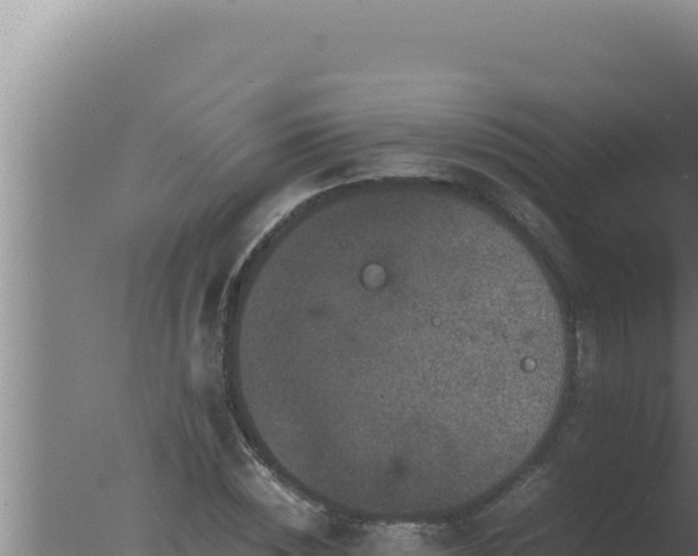 X0000077380828200610271944