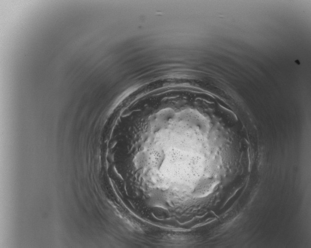 X0000077380829200610271944