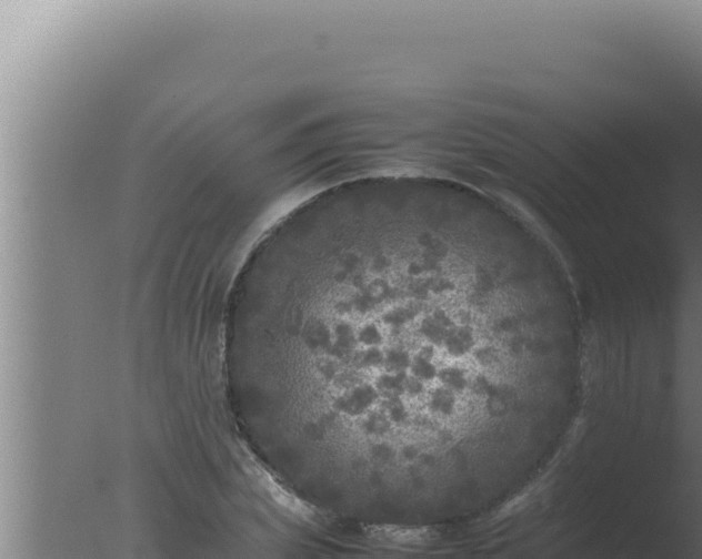 X0000077380831200610271944