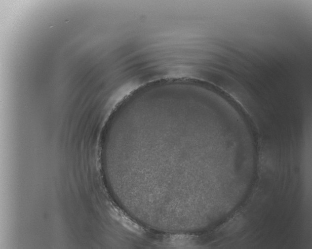 X0000077380832200610271944