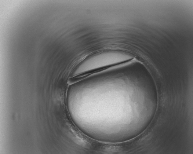 X0000077380833200610271944