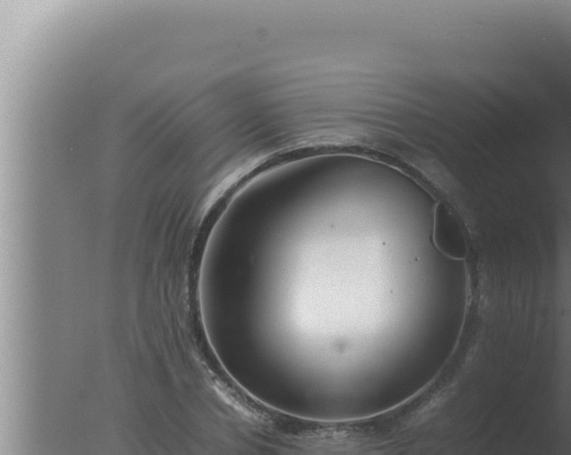 X0000077380834200610271944