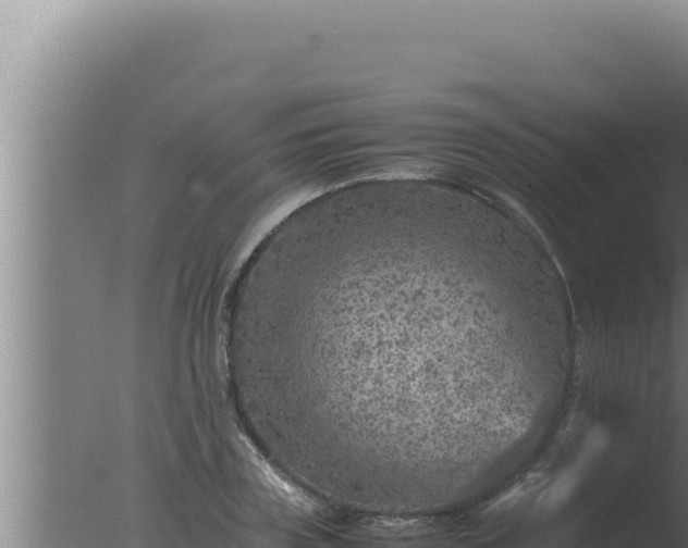 X0000077380835200610271944