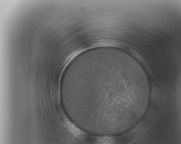 X0000077380836200610271944