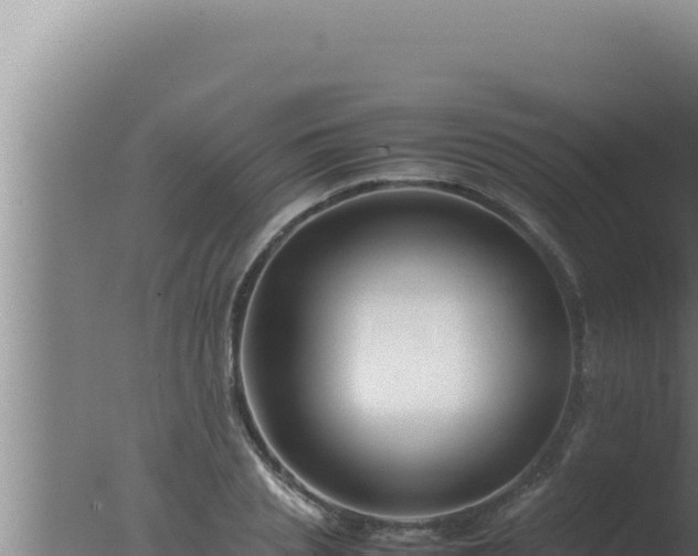 X0000077380837200610271944