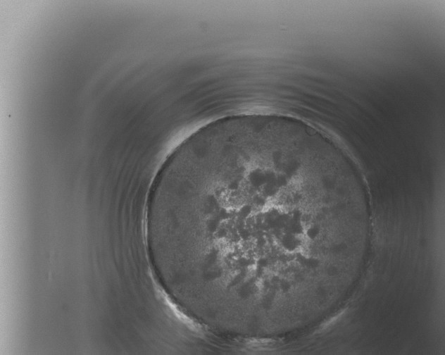 X0000077380839200610271944