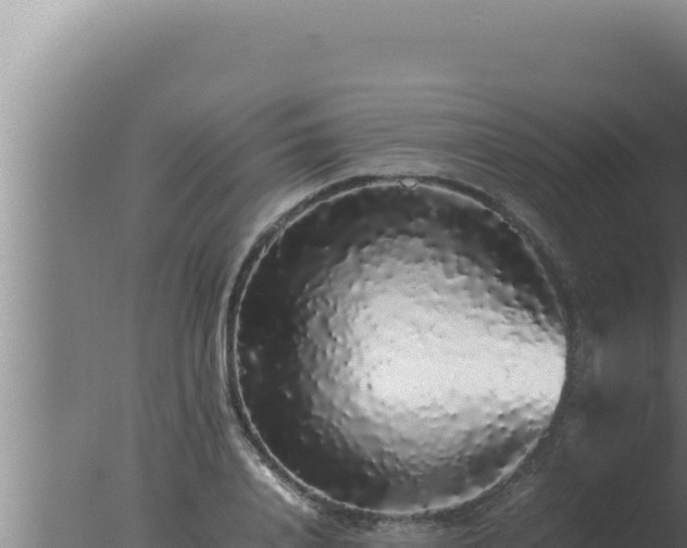 X0000077380840200610271944