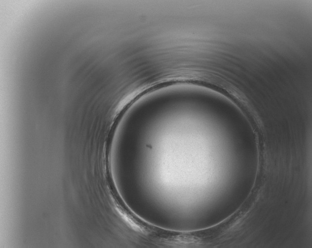 X0000077380842200610271944