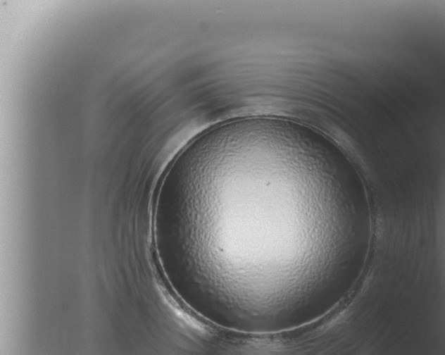 X0000077380844200610271944