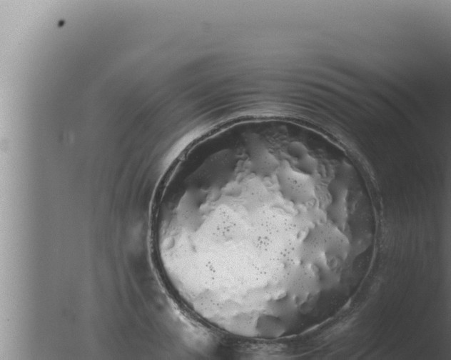 X0000077380845200610271944