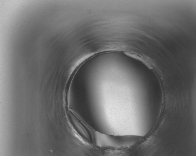 X0000077380846200610271944