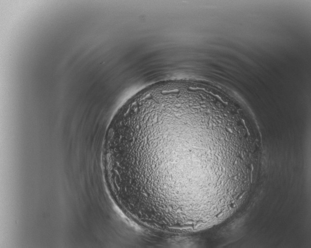 X0000077380847200610271944