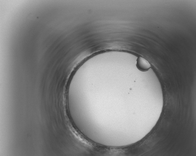 X0000077380848200610271944