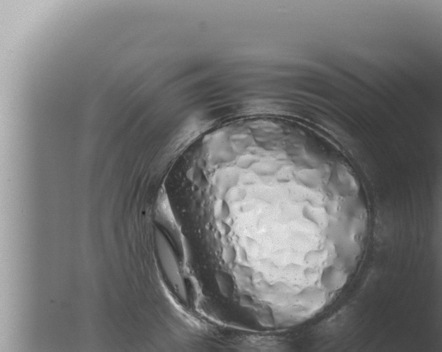 X0000077380849200610271944