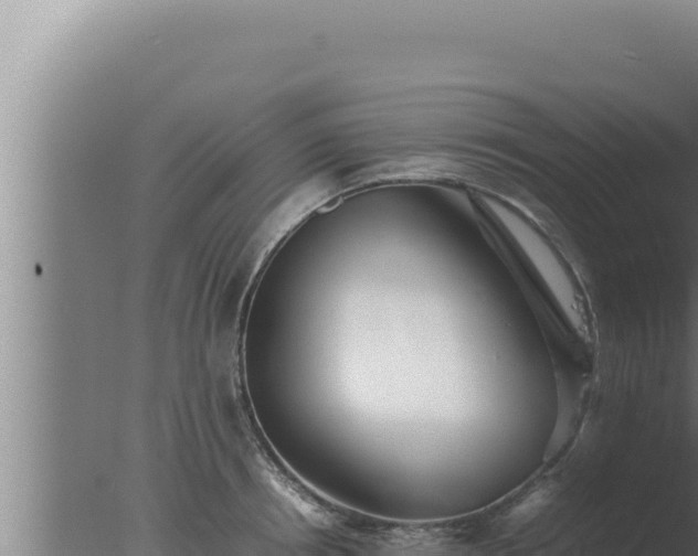 X0000077380850200610271944