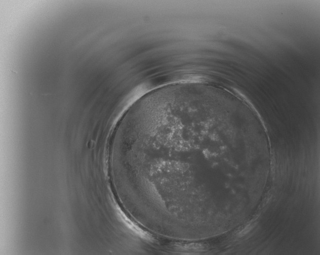 X0000077380851200610271944