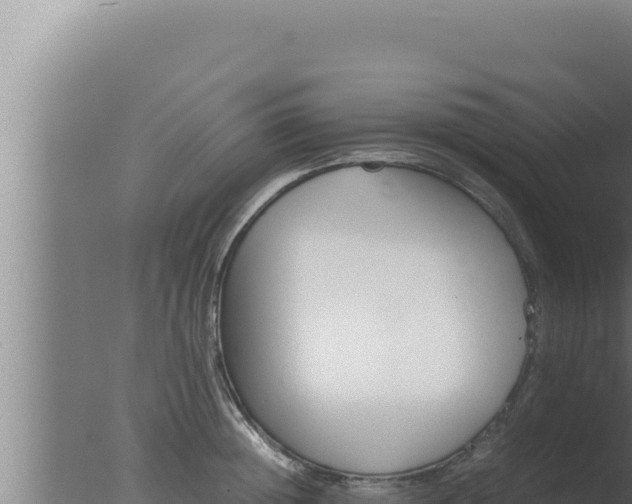 X0000077380852200610271944