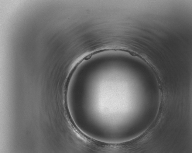 X0000077380854200610271944