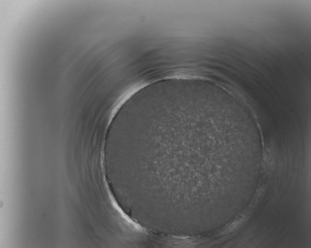 X0000077380855200610271944