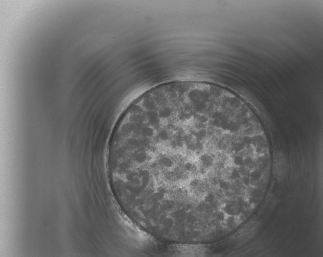 X0000077380856200610271944