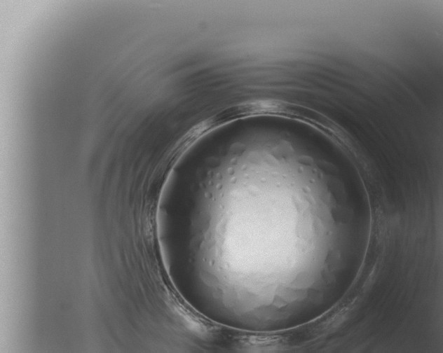 X0000077380857200610271944