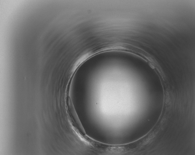 X0000077380858200610271944