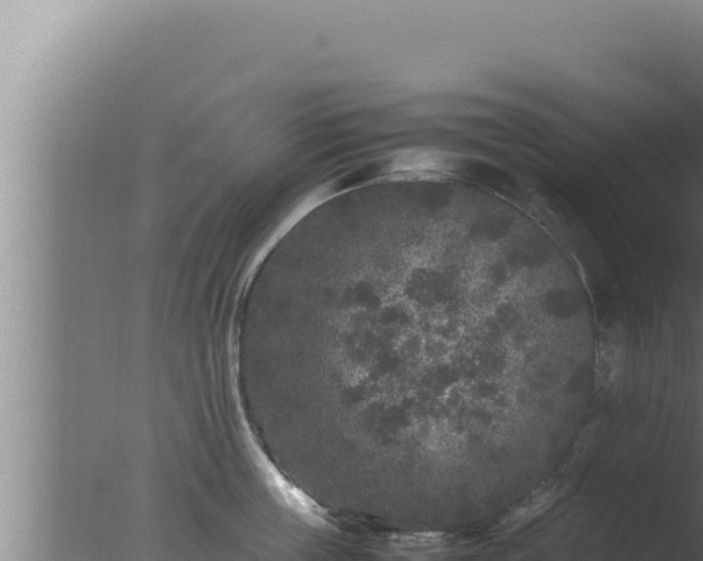 X0000077380859200610271944