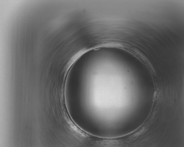 X0000077380860200610271944