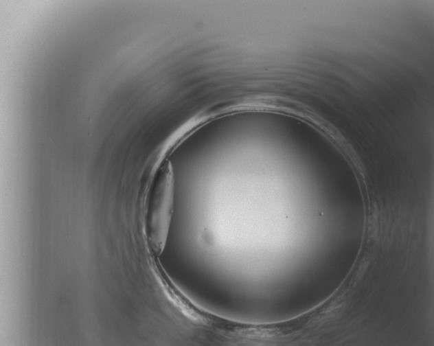 X0000077380862200610271944