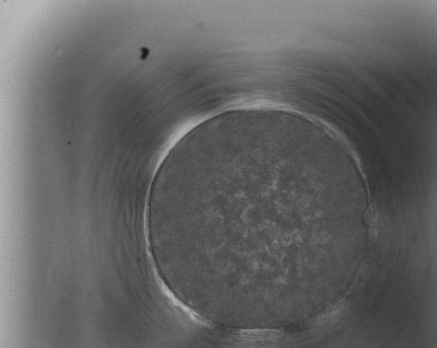 X0000077380863200610271944