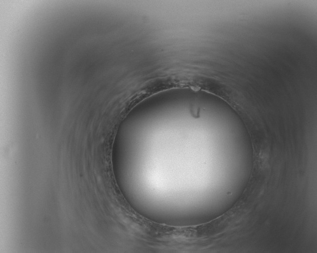 X0000077380865200610271943