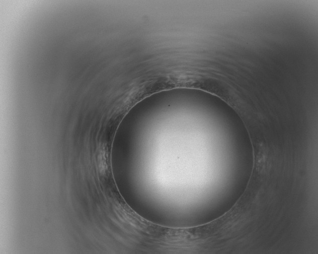 X0000077380866200610271943