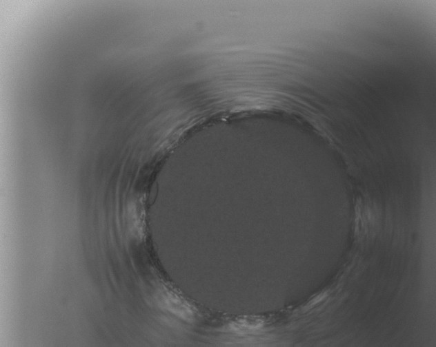 X0000077380868200610271943