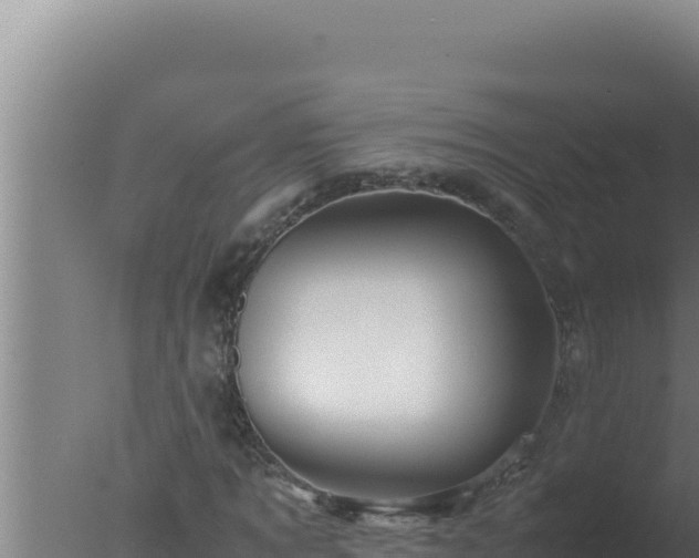 X0000077380869200610271943