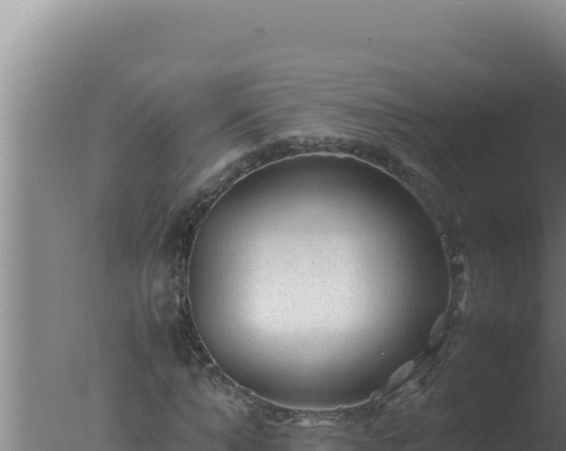 X0000077380870200610271943