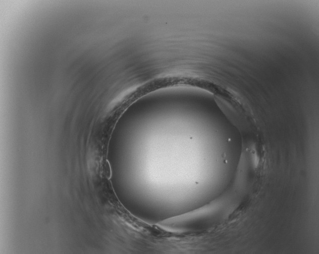 X0000077380872200610271943