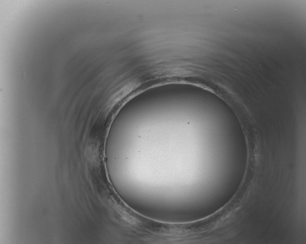 X0000077380873200610271943