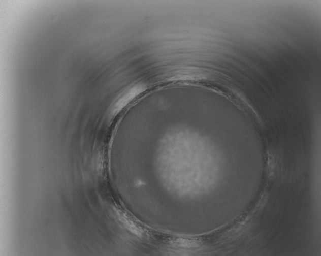 X0000077380874200610271943