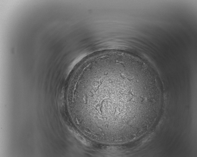 X0000077380875200610271943